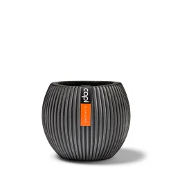 ohgreen Potten En Vazen|Vaas bol Groove 21x19