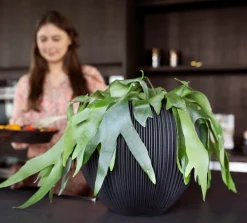 ohgreen Potten En Vazen|Vaas bol groove 21x19