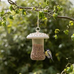 ohgreen Voederhuisjes En Aanverwanten|Voedersilo parasolzwam