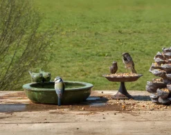 ohgreen Verkoeling Voor Je Dier|Voederhuisjes En Aanverwanten|Vogelbad