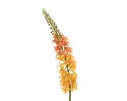 ohgreen Sfeermakers|Vossenstaart