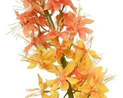 ohgreen Sfeermakers|Vossenstaart