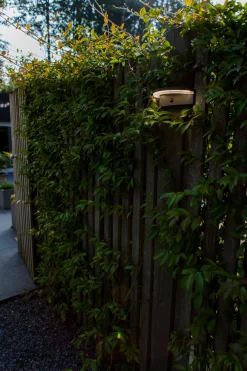 ohgreen Verlichting|Ecocheques|Vyzor solar wandlamp