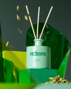 ohgreen Geuren|We are diffuser re:born