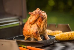 ohgreen Accessoires En Onderhoud|WEBER DELUXE GEVOGELTESTOMER