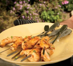 ohgreen Accessoires En Onderhoud|WEBER GRILLROOSTER EN SPIESENSET