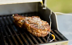ohgreen Accessoires En Onderhoud|WEBER IGRILL PRO VLEESSENSOR