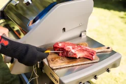 ohgreen Accessoires En Onderhoud|WEBER IGRILL PRO VLEESSENSOR