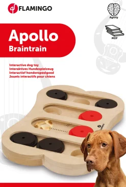 ohgreen Speelgoed|Wooden brain train apollo 30x20cm