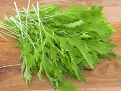 ohgreen Zaden|Ecocheques|Zaden: aziatischesla mizuna