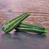 ohgreen Zaden|Ecocheques|Zaden: courgette verte d'italie
