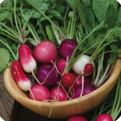 ohgreen Zaden|Ecocheques|Zaden: radijs gemengd