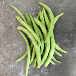 ohgreen Zaden|Ecocheques|Zaden: stamslaboon (prinsessenboon) cupidon