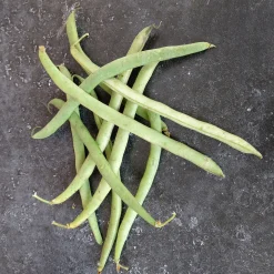 ohgreen Zaden|Ecocheques|Zaden: stamslaboon (prinsessenboon) koning der belgen