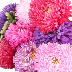 ohgreen Zaden|Ecocheques|Zaden: zomeraster gemengd