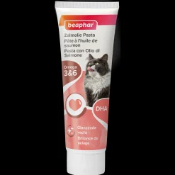 ohgreen Kat Voeding|Zalm pasta